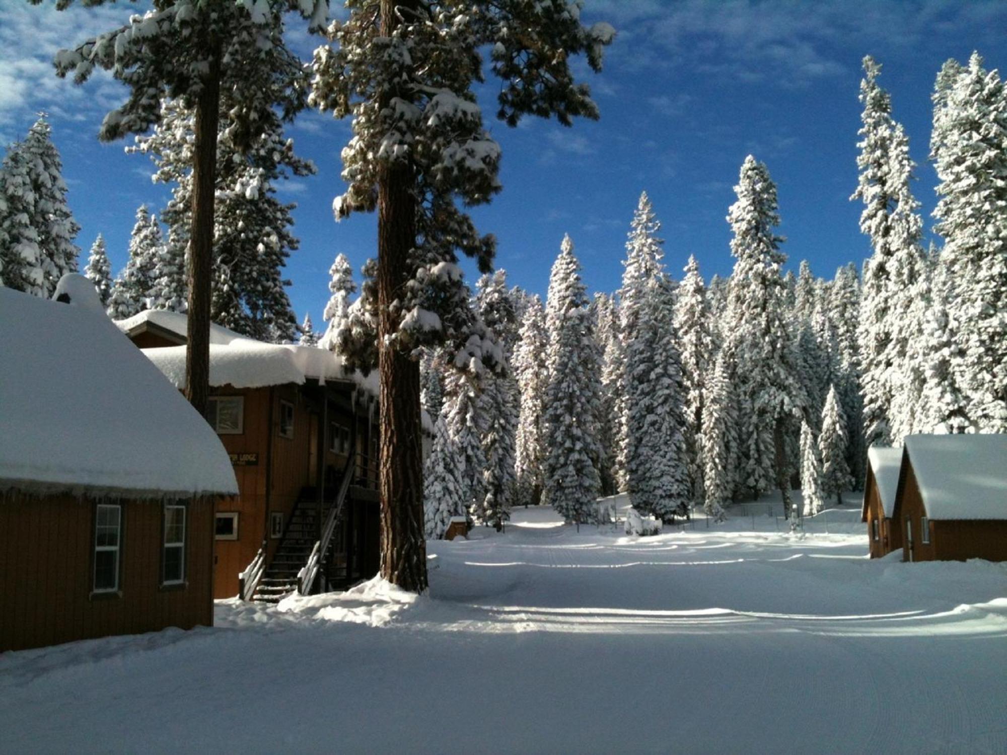 Montecito Sequoia Lodge Wilsonia Exterior photo